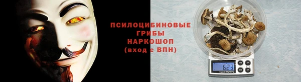 ГАЛЛЮЦИНОГЕННЫЕ ГРИБЫ Покачи