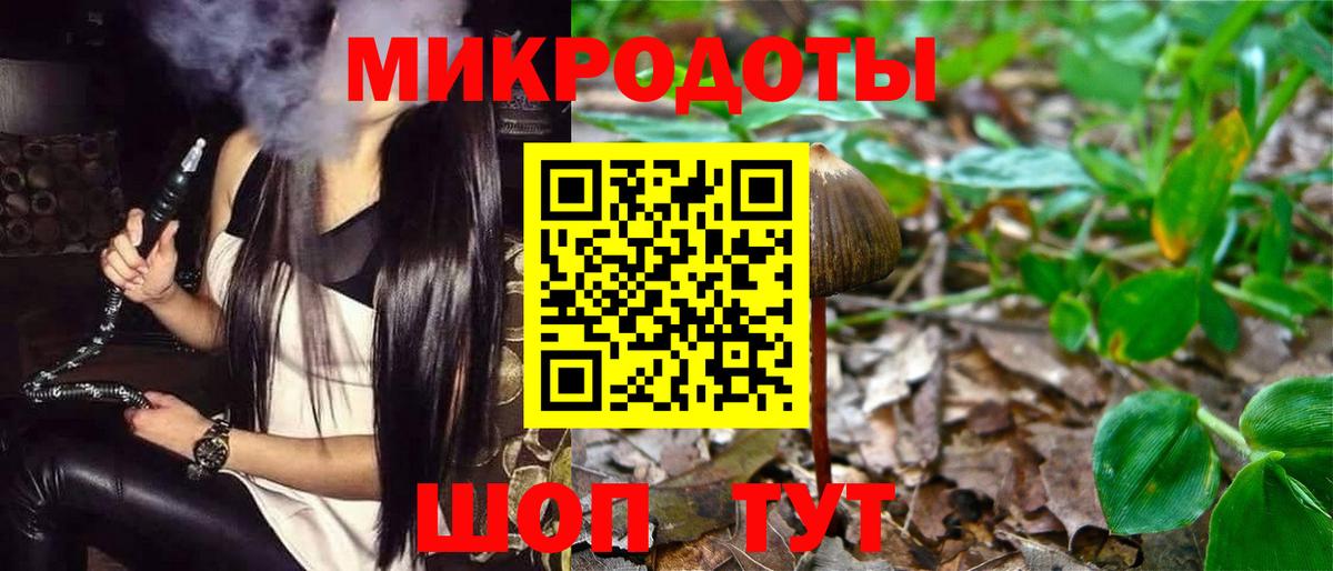 Альфа ПВП Удомля