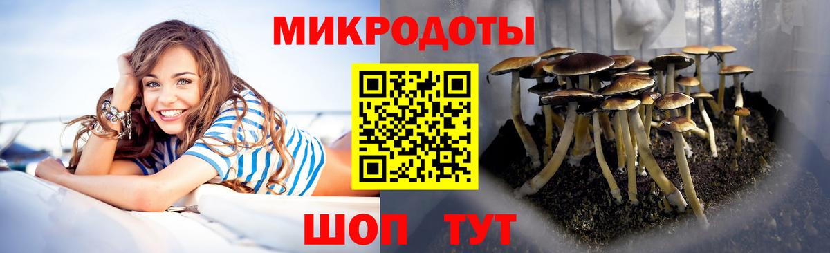 Удомля  где можно купить   Вход с VPN  Галлюциногенные грибы MAGIC MUSHROOMS 