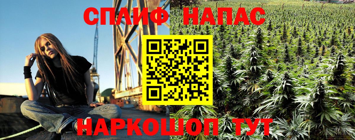МАРИХУАНА MAZAR Удомля